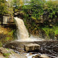 Buy canvas prints of Thornton Force river Twiss  by Diana Mower