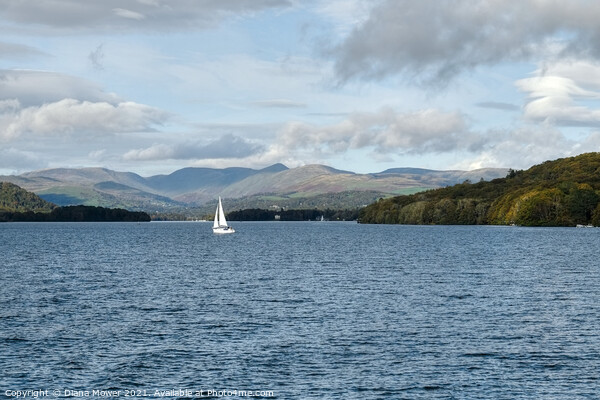Windermere Fairfield Horseshoe View Picture Board by Diana Mower