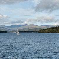 Buy canvas prints of Windermere Fairfield Horseshoe View by Diana Mower