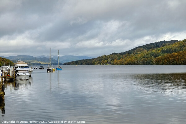 Lake Windermere Lakeside View Picture Board by Diana Mower