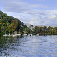 Buy canvas prints of Windermere Western shore by Diana Mower