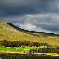 Buy canvas prints of Whernside Yorkshire Dales by Diana Mower