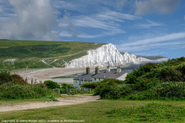 Seven Sisters and Cuckmere Haven beach. Picture Board by Diana Mower