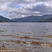 Buy canvas prints of Loch Lomond Scotland Panoramic   by Diana Mower