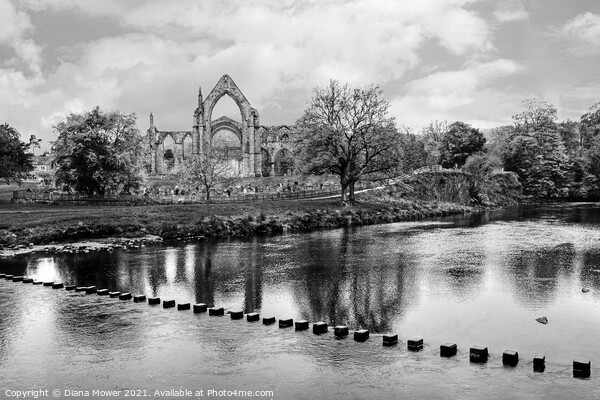 Bolton Abbey Yorkshire Monochrome Picture Board by Diana Mower