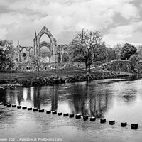 Buy canvas prints of Bolton Abbey Yorkshire Monochrome by Diana Mower