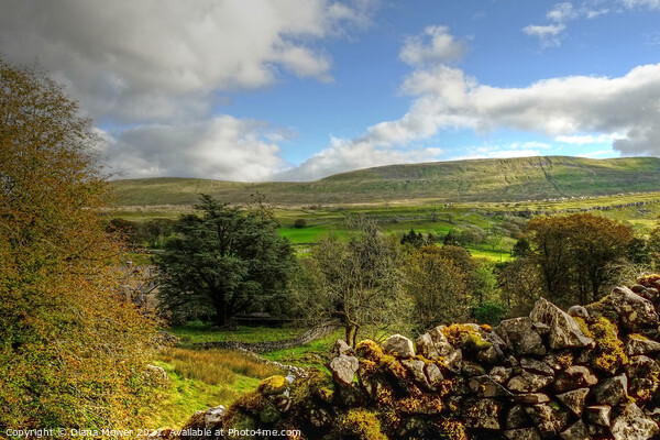 Yorkshire Dales Landscape Panoramic Picture Board by Diana Mower