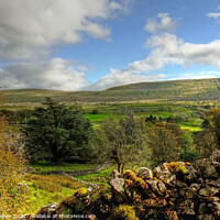 Buy canvas prints of Yorkshire Dales Landscape Panoramic by Diana Mower