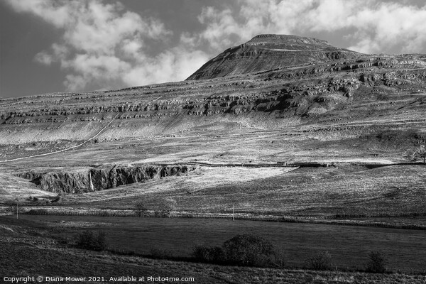 Ingleborough peak Yorkshire Monochrome Picture Board by Diana Mower