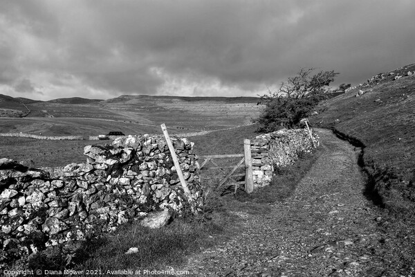 Yorkshire Dales in black and white Picture Board by Diana Mower