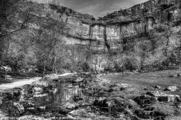  Malham Cove Yorkshire Dales Picture Board by Diana Mower
