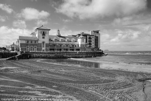 Weston Super Mare Black and white  Picture Board by Diana Mower