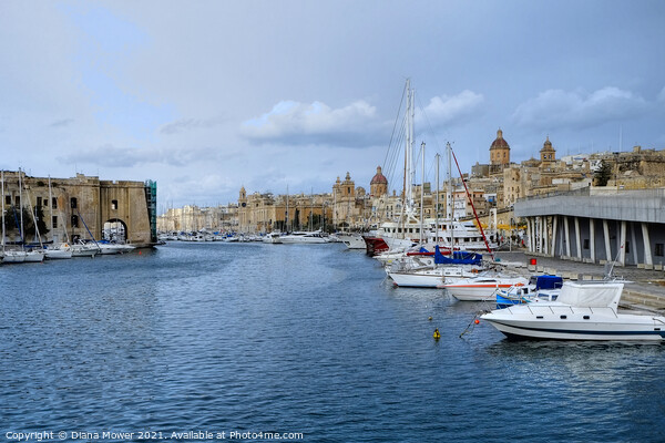 The Grand Harbour and city Malta Picture Board by Diana Mower
