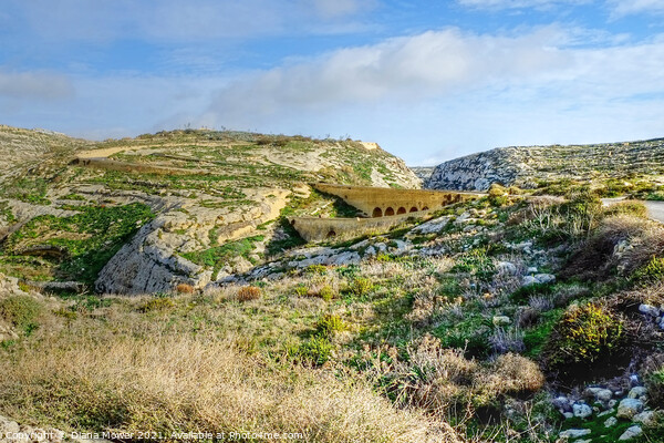 The bridges at Dwejra Gozo, Malta  Picture Board by Diana Mower