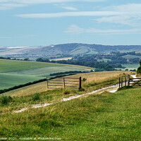 Buy canvas prints of South Downs view East Sussex by Diana Mower