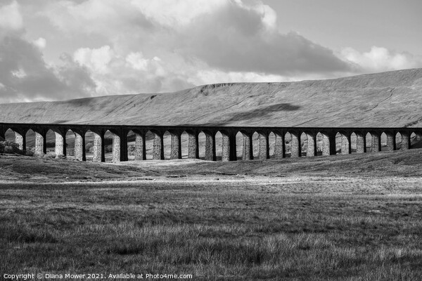 Ribblehead Viaduct Black and White Picture Board by Diana Mower
