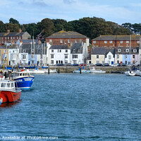Buy canvas prints of Weymouth Harbour Dorset by Diana Mower