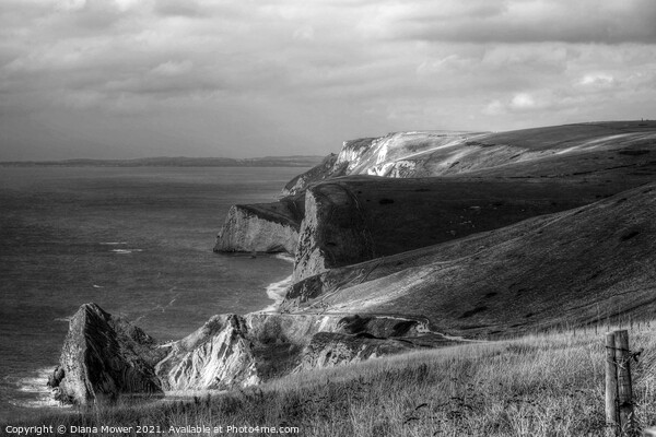 The Jurassic Coast Black and white Picture Board by Diana Mower