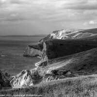 Buy canvas prints of The Jurassic Coast Black and white by Diana Mower