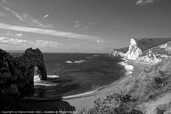 Durdle Door Dorset Panoramic Picture Board by Diana Mower