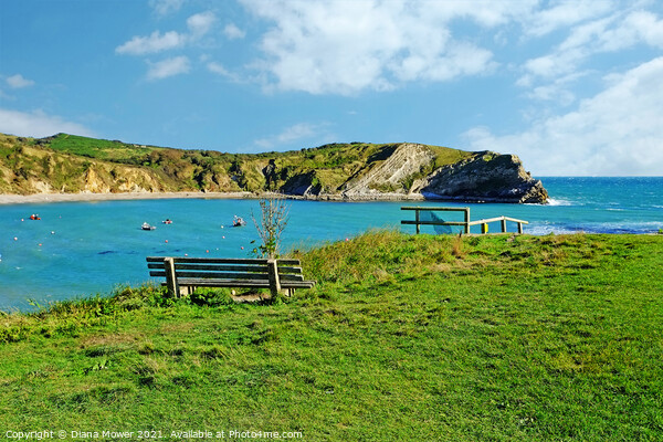 Lulworth cove Dorset Picture Board by Diana Mower