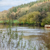 Buy canvas prints of The Wye at Symonds Yat by Diana Mower