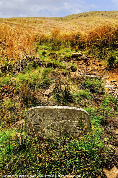 Pendle Hill Way Marker Stone  Picture Board by Diana Mower