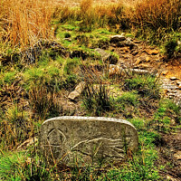 Buy canvas prints of Pendle Hill Way Marker Stone  by Diana Mower
