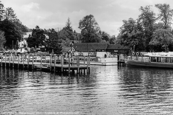 Bowness Windermere Black and white Picture Board by Diana Mower