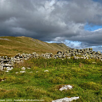 Buy canvas prints of Twistleton Scar and Whernside  by Diana Mower