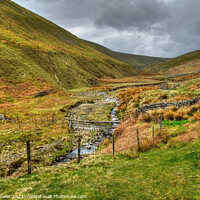 Buy canvas prints of Pendle Hill Walk Lancashire by Diana Mower