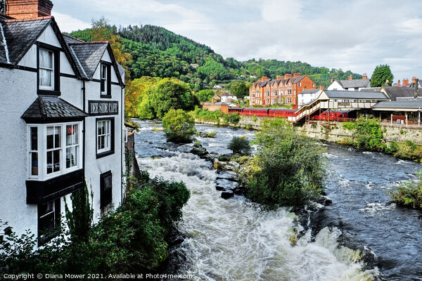 The River at Llangollen Picture Board by Diana Mower