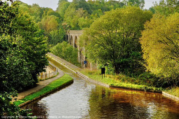 Chirk Aqueduct Early Autumn Picture Board by Diana Mower