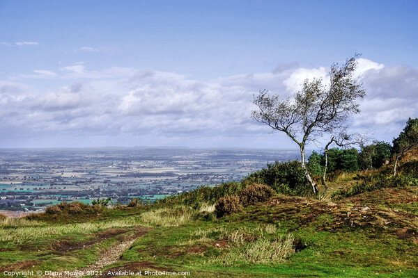 The top of the Wrekin  Shropshire Picture Board by Diana Mower