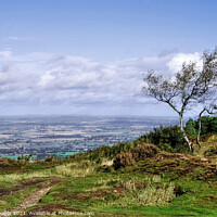 Buy canvas prints of The top of the Wrekin  Shropshire by Diana Mower