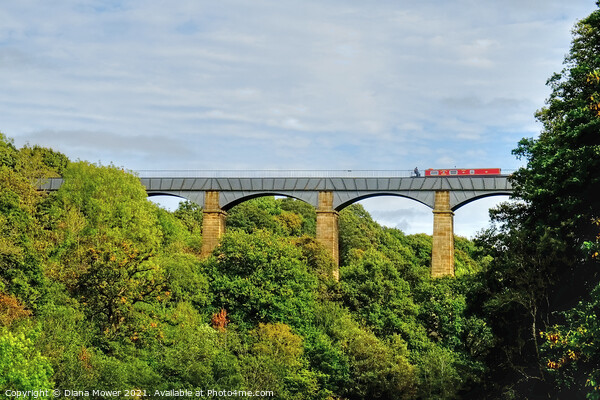 Pontcysyllte Aqueduct View LLangollen  Picture Board by Diana Mower