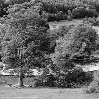 Buy canvas prints of Horseshoe Falls Llangollen black and white by Diana Mower
