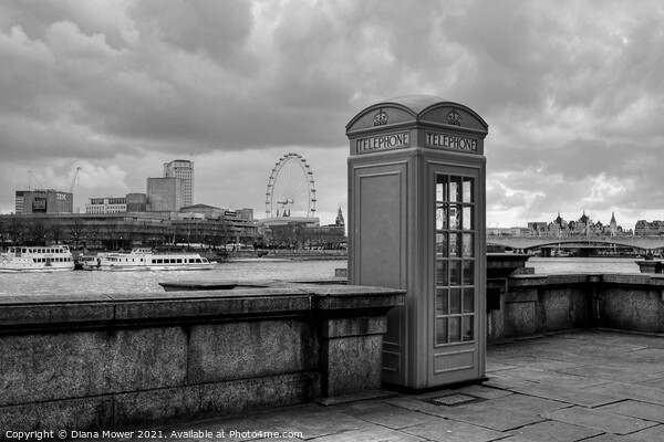 The Thames Embankment Black and white Picture Board by Diana Mower