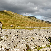 Buy canvas prints of Whernside Erratic Panoramic by Diana Mower