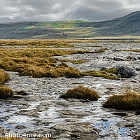 Buy canvas prints of Ingleborough Panoramic Landscape by Diana Mower