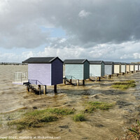 Buy canvas prints of Breezy day Osea View Maldon by Diana Mower