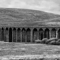 Buy canvas prints of Ribblehead Viaduct Monochrome by Diana Mower