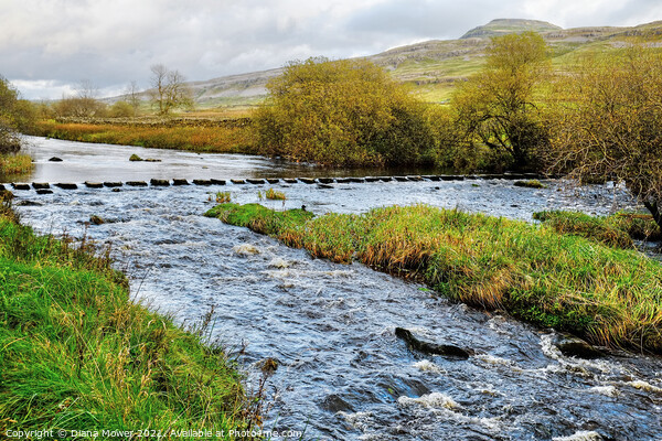 River Doe and Ingleborough  Picture Board by Diana Mower
