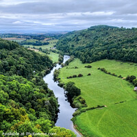 Buy canvas prints of  Symonds Yat Panoramic by Diana Mower