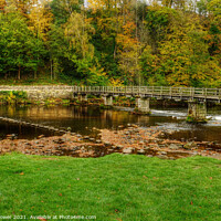 Buy canvas prints of Stepping Stones and bridge at Bolton Abbey by Diana Mower