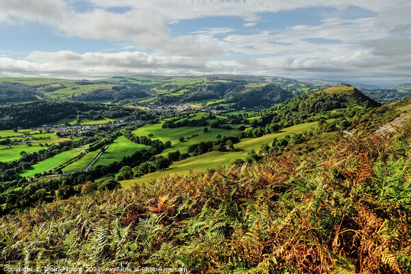 Vale of Llangollen from the mountains  Picture Board by Diana Mower