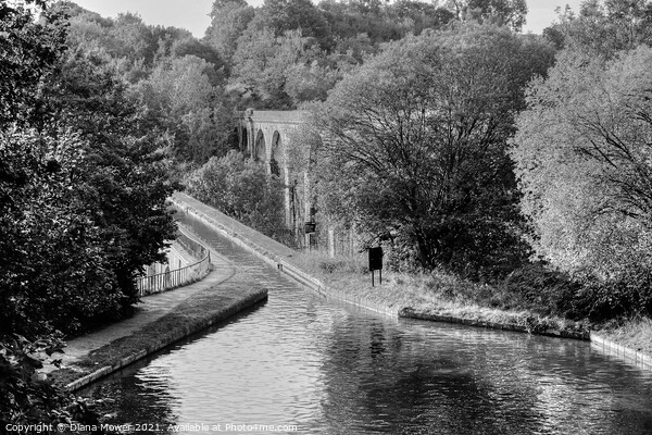 Chirk Aqueduct and Viaduct Mono Picture Board by Diana Mower