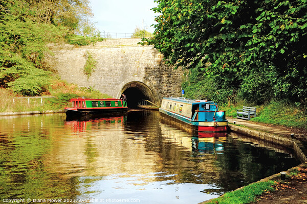 Chirk Canal Tunnel Llangollen  Picture Board by Diana Mower