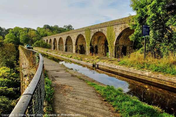 Llangollen Canal at Chirk Picture Board by Diana Mower