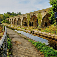 Buy canvas prints of Llangollen Canal at Chirk by Diana Mower